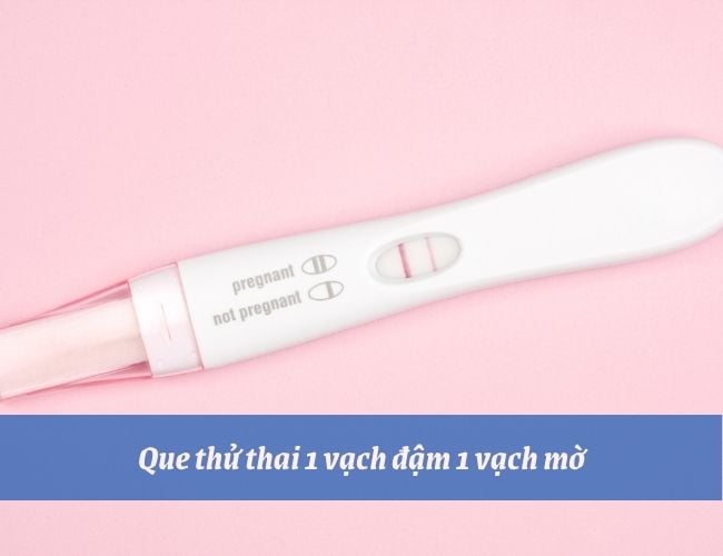 Que thử 1 vạch đậm 1 vạch mờ thai đã vào tử cung chưa?